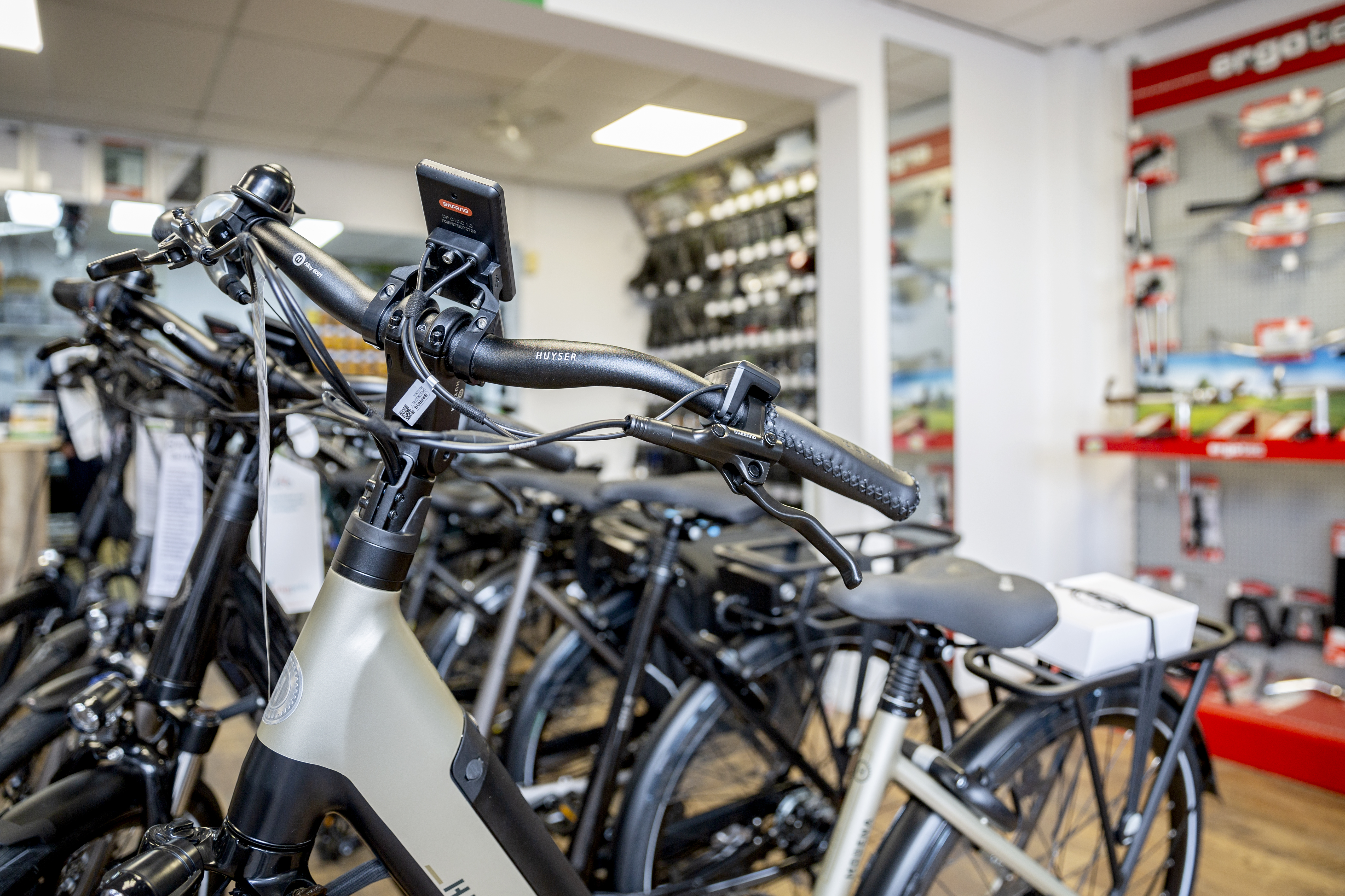 Cilia Componist ingewikkeld Green Drive fietsenwinkel Venray