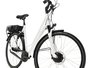 MULTICYCLE NOBLE EF 